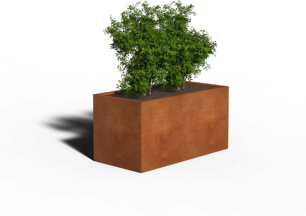 Cortenstaal Plantenbak Rechthoek | 120 x 60 x 80 | Met bodem