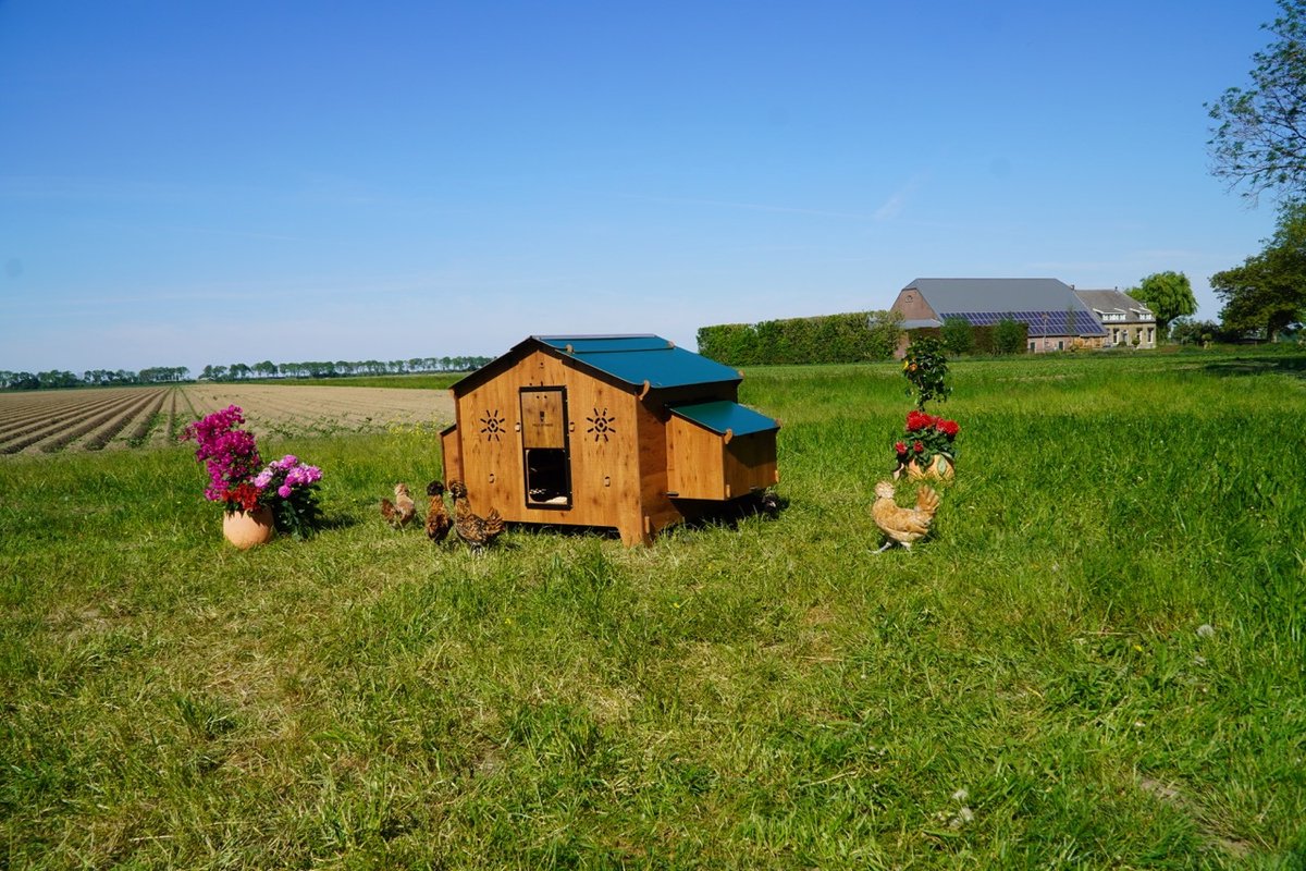 Trespa Kunststof Kippenhok | Chalet 4XL | Hèt anti-bloedluis kippenhok! | Cucciolotta