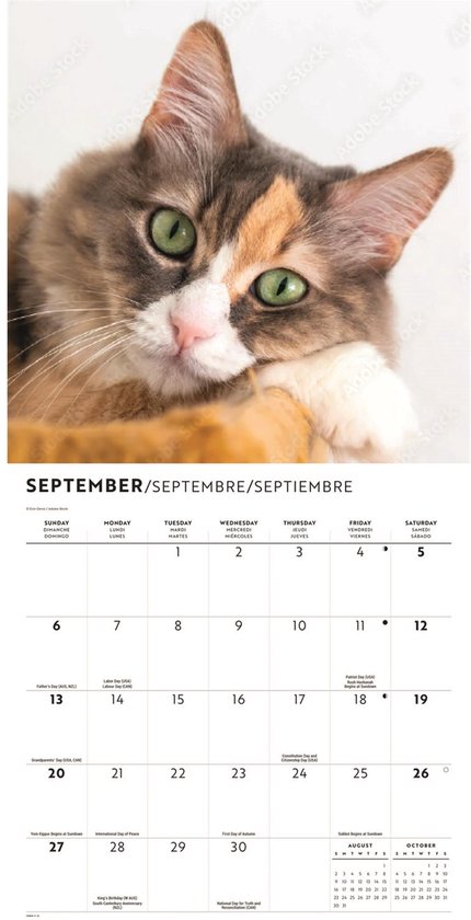 Katten Liefde Kalender 2026