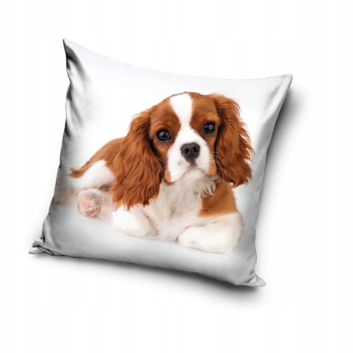 Hondenprint Kussenhoes 40x40 cm Zacht Velvet Dubbelzijdig