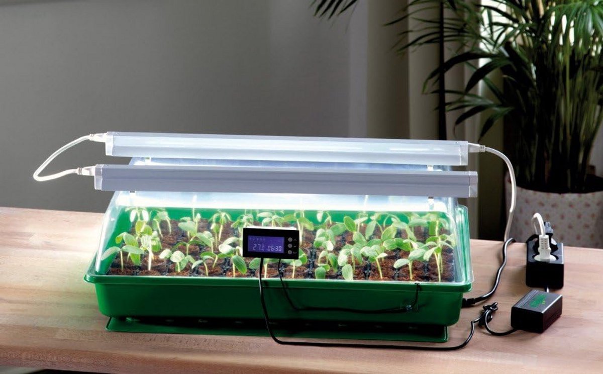 Compleet Mini-Broeikas Kweekbak met Verlichting en Thermostaat