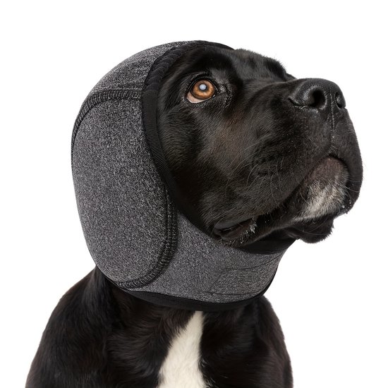 Zwarte hond draagt een grijze snood die zijn oren bedekt.