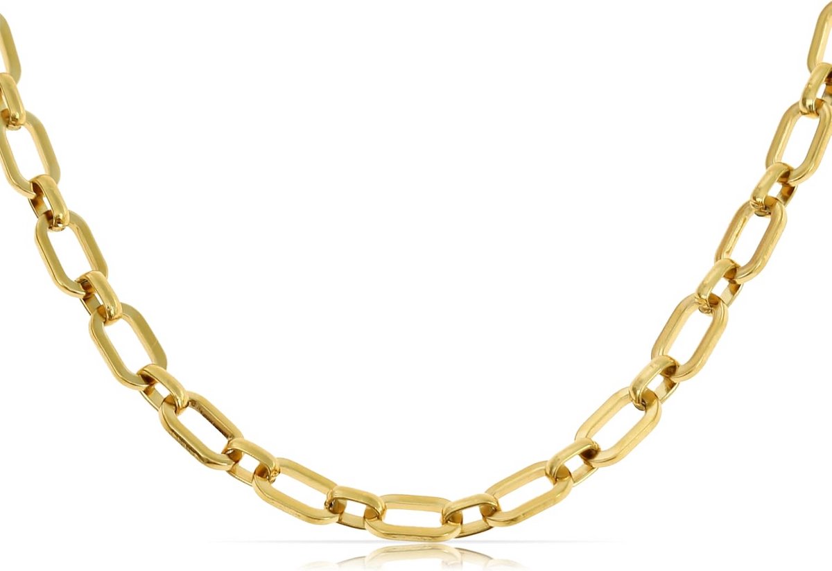 Dames Gouden RVS Grote Schakelketting Waterdicht - Verstelbare Halsketting Zomer Sieraden