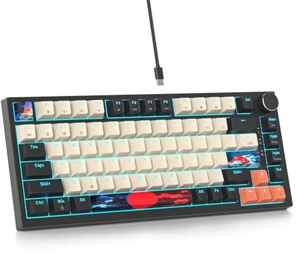 Compact Mechanisch Toetsenbord met RGB Verlichting en Hot Swappable Functie
