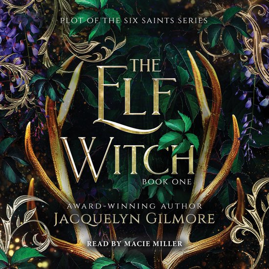 Plot of the Six Saints Series-The Elf Witch - cover