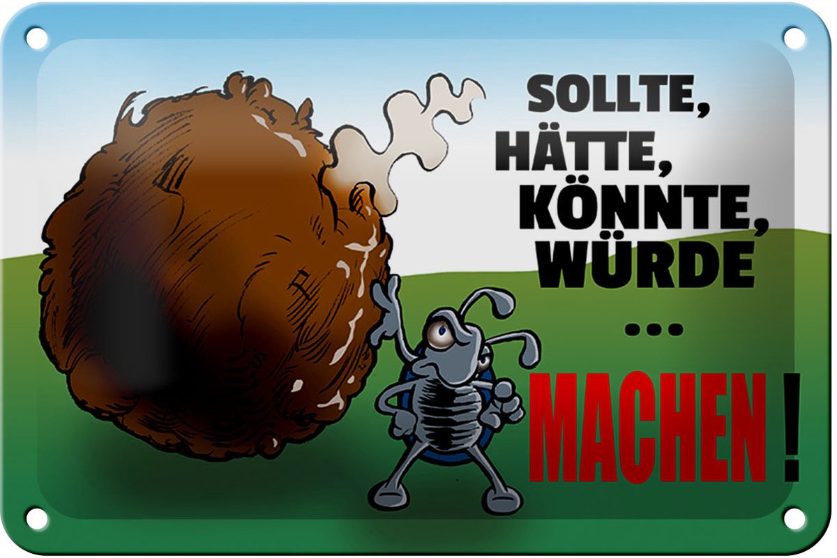 Blechschild Spruch 18x12cm Sollte hätte könnte Machen