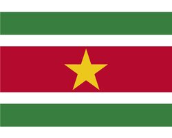 Vlag Suriname - 90 x 150 cm - Surinaamse Vlag - Suriname