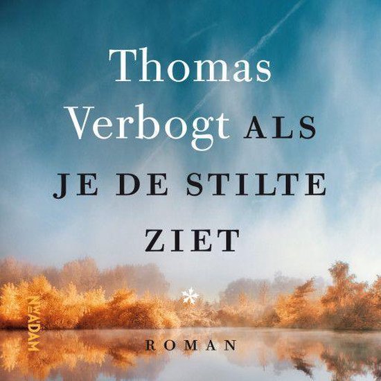 Als je de stilte ziet - cover