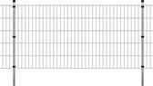 Dubbelstaafmatten en palen 2008x1030 mm 6 m zilverkleurig