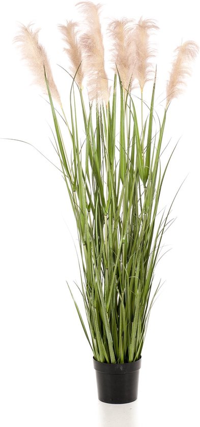 Grass Pampas pluimen - kunstplant