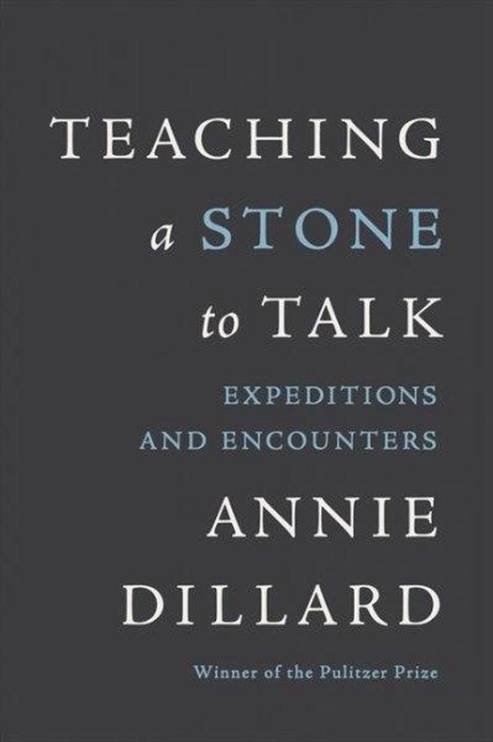 Teaching a Stone to Talk - cover