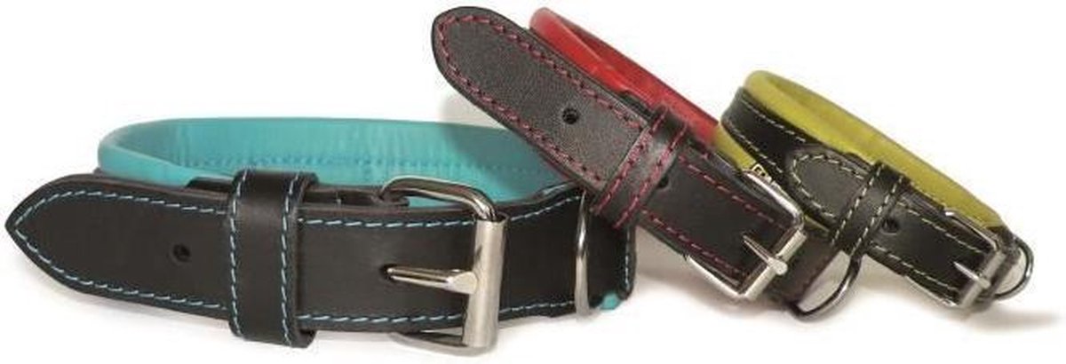 NUM'AXES Coneck'T Every Day Life lederen halsband - maat: L - zwart en groen - voor hond