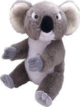 Pluche koala beer grijs knuffel 30 cm - Australische dieren - Koala beren knuffeldieren - Speelgoed voor kinderen
