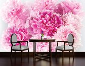 Pink Carnations Photo Wallcovering