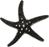 Grand pendentif étoile de mer en argent avec chaîne de sable de lave