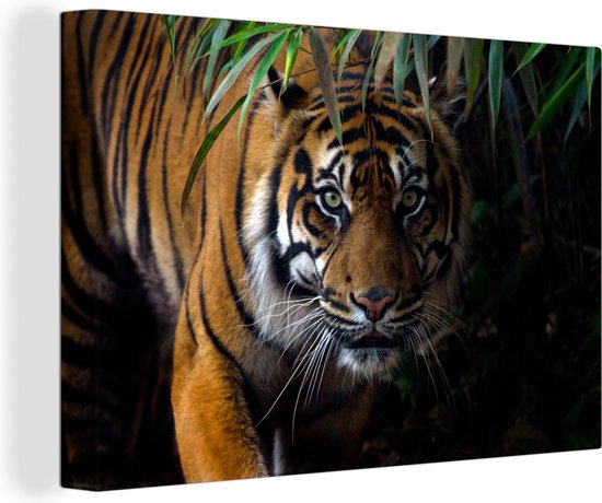 Canvas schilderij - Jungle tijger 90x60 - Kamer decoratie accessoires - Schilderijen woonkamer - Wall decoration - Wanddecoratie dieren slaapkamer - Muurdecoratie keuken - Wanddoek interieur binnen - Woondecoratie huis - Woonaccessoires