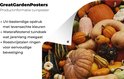 Product afbeelding  8