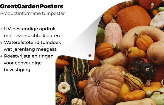 Tuinposter 100x100 cm - Tuindecoratie Pompoen - Herfst - Oranje - Poster voor in de tuin - Buiten decoratie - Schutting tuinschilderij - Tuindoek muurdecoratie - Wanddecoratie balkondoek