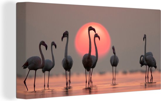 Canvas schilderij - Flamingo - Zon - Roze - Vogel - Tropisch - Foto op canvas - 40x20 cm - Canvas doek - Wanddecoratie