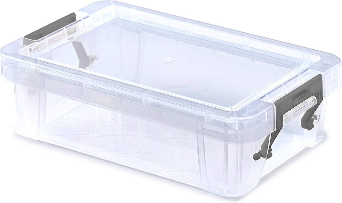 Whitefurze Opbergbox Allstore 800 Ml 20 X 13 Cm Polypropyleen