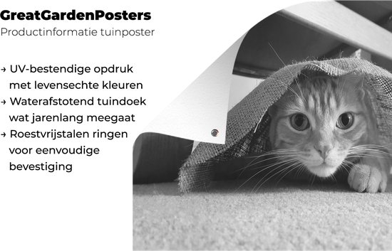 Posters de jardin extérieur Chat caché - noir et blanc - 90x60 cm - Toile de jardin - Affiche extérieure