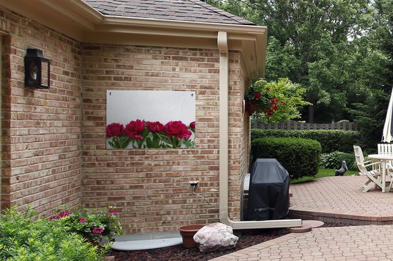 Affiche de jardin Rangée avec pivoines rouges 90x60 cm - Toile de jardin / Toile d'extérieur / Peintures d'extérieur (décoration de jardin)