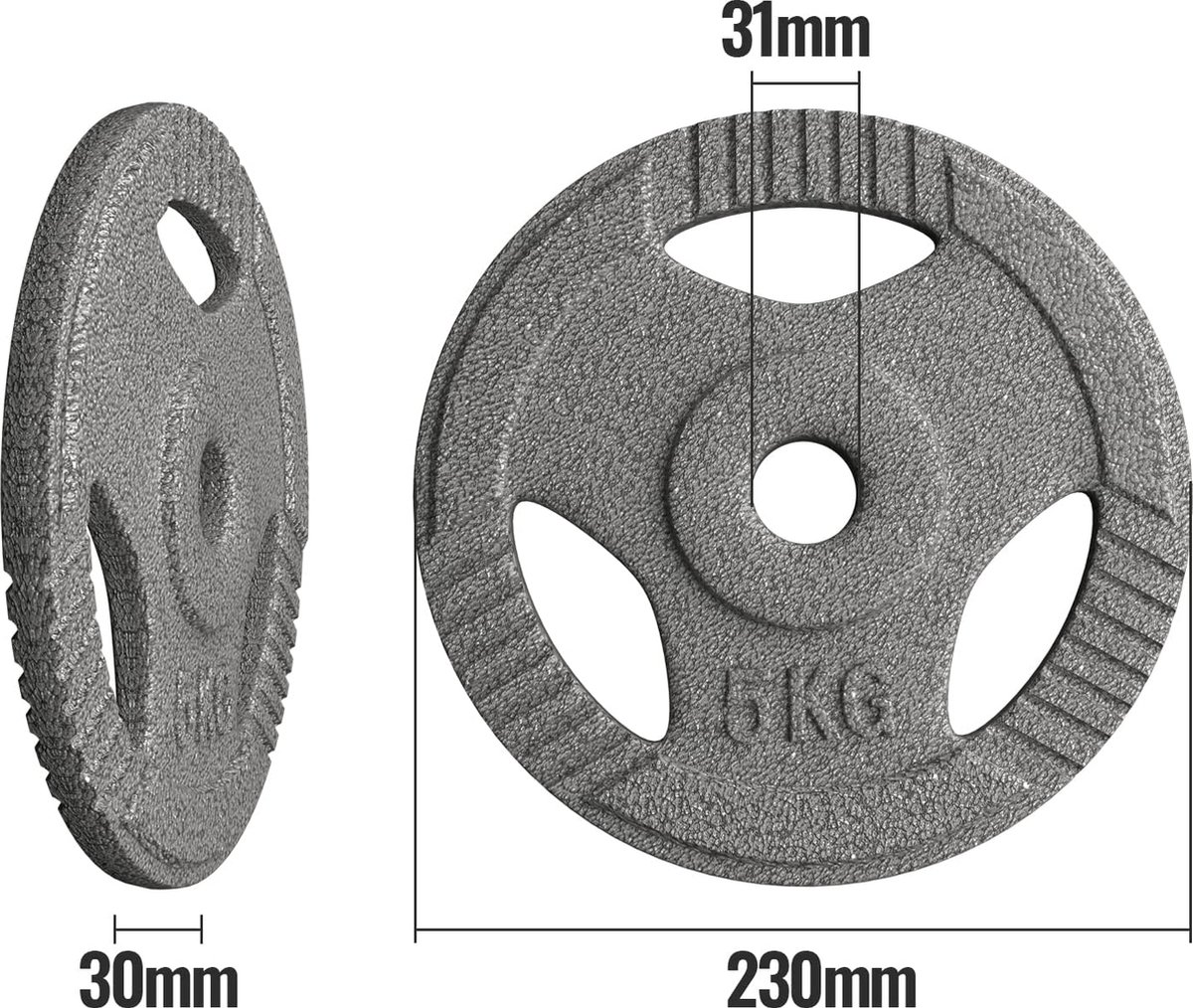 Deux Disques De Fonte Standard 5 Lb - Poids Haltères Sport Authority, Lot De 2