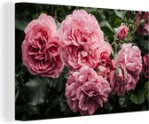 Toile Peinture Rose - Fleurs - Roses - 90x60 cm - Décoration murale