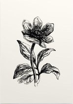 Pioenroos zwart-wit (Peony) - Foto op Posterpapier - 42 x 59.4 cm (A2)