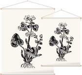 Gewone Dotterbloem zwart-wit (Marsh Marigold) - Foto op Textielposter - 60 x 80 cm