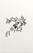 Els zwart-wit (Leaf of Alder) - Foto op Forex - 100 x 150 cm