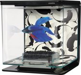 Marina aquarium - Betta kit 'Ying Yang' 2L - 15x15x15 cm