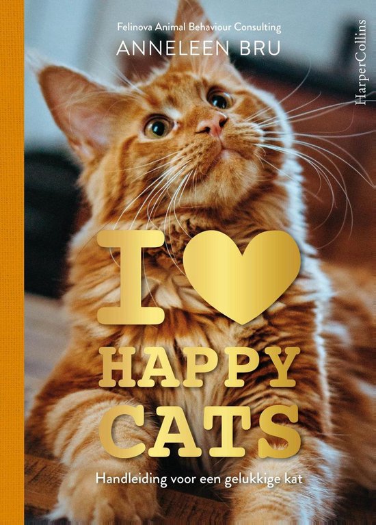 I Love Happy Cats - cover