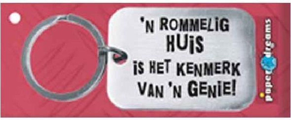 Paper Dreams | RVS Sleutelhanger | 'N rommelig huis is het kenmerk van 'n genie!