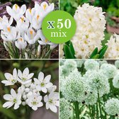 50x Bollenmix 'White collection' - Eranthis + Crocus + Hyacinthus + Allium - Witte bloemen - Vroegbloeiers - 50 bloembollen