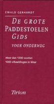 De grote paddestoelengids voor onderweg