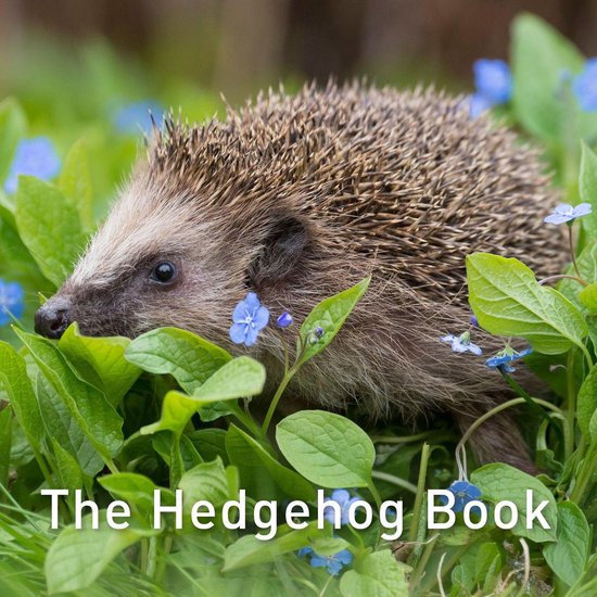 The Nature Book Series 7 - The Hedgehog Book - cover