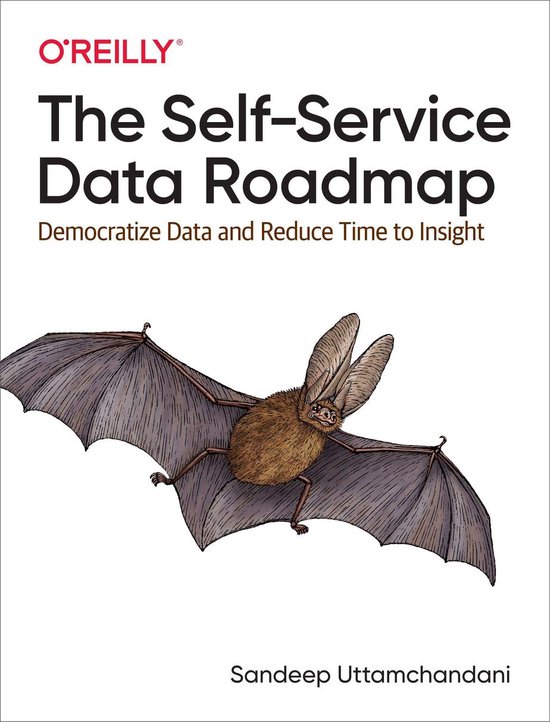 The Self-Service Data Roadmap - cover