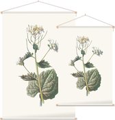 Look-zonder-look (Garlic Mustard) - Foto op Textielposter - 90 x 135 cm