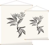 Sambucus zwart-wit (Elder) - Foto op Textielposter - 60 x 80 cm