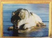 Diamond Painting 50 X 40 - Drinkende wolf - Volledige bedekking, Complete set 049