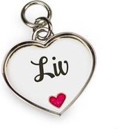 Girl Charms hangertje - LIV