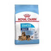 Royal Canin Maxi Starter Mother & Babydog - Nourriture pour chiens - 15 kg