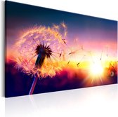 Schilderijen Op Canvas - Schilderij - Freedom of Nature 90x60 - Artgeist Schilderij