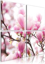 Schilderijen Op Canvas - Schilderij - Blooming magnolia boom 90x90 - Artgeist Schilderij