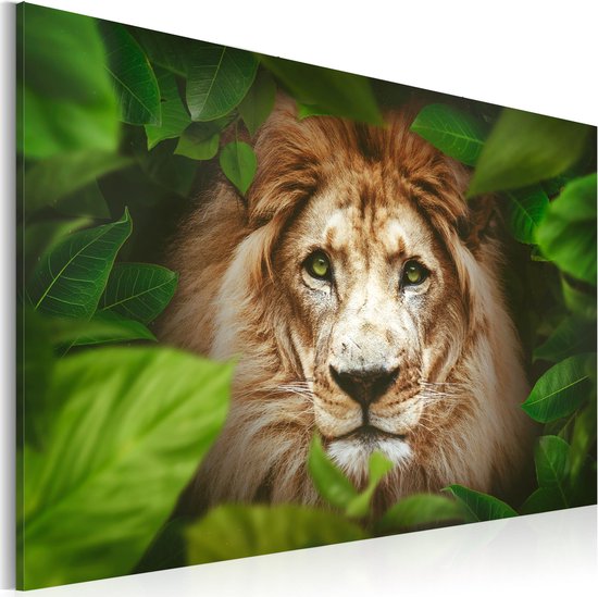 Schilderijen Op Canvas - Schilderij - Eyes of the jungle 120x80 - Artgeist Schilderij
