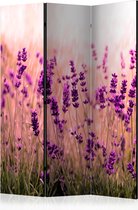 Kamerscherm - Scheidingswand - Vouwscherm - Lavender in the Rain [Room Dividers] 135x172 - Artgeist Vouwscherm