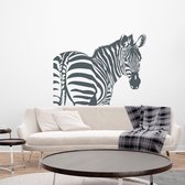 Muursticker Zebra Achterom Kijkend - Donkergrijs - 60 x 46 cm - baby en kinderkamer - muursticker dieren slaapkamer woonkamer alle