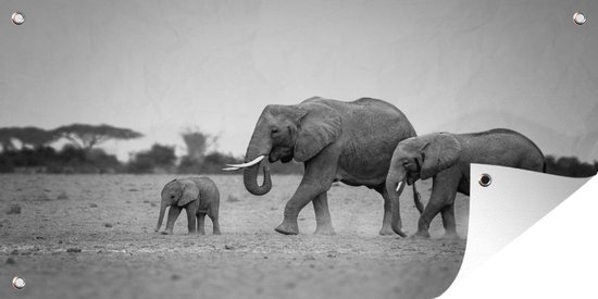Tuinposter Familie olifanten met hun baby in Kenia - zwart wit - 80x40 cm - Wanddecoratie Buiten - Tuinposter - Tuindoek - Schuttingposter - Tuinschilderij