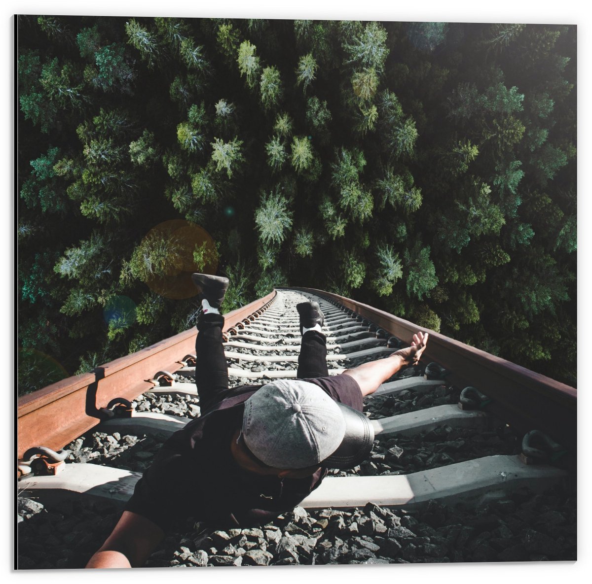KuijsFotoprint Dibond - Man aan Ladder boven Bos - 50x50cm Foto op Aluminium (Wanddecoratie van metaal) Groen